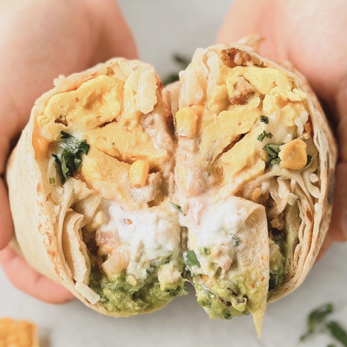 🌯 The Classic Burrito — Brito's Burrito Minnetonka